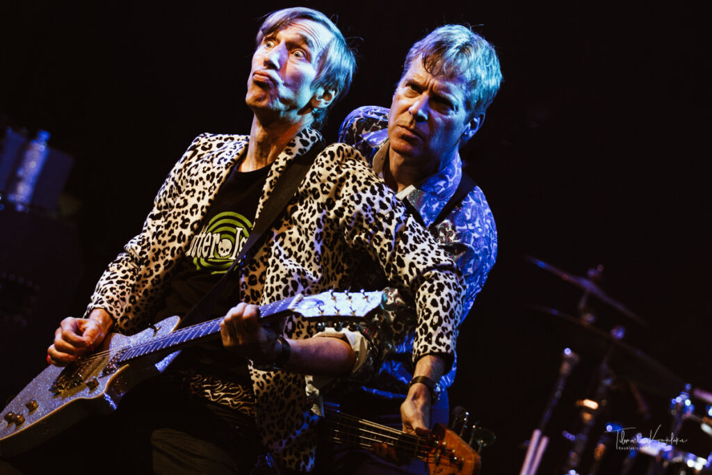 Fleshtones