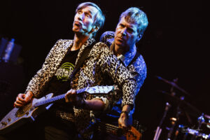 Fleshtones
