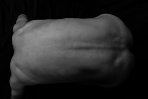 Body