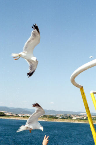 Alexandroupoli_CanonA1_Kodak_Gold200