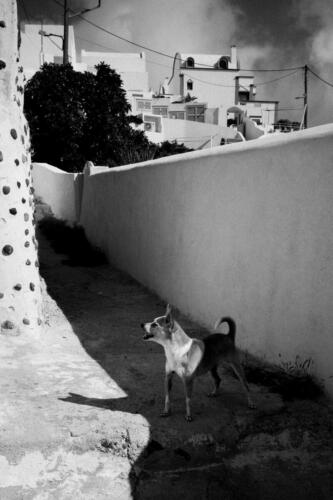 Santorini_20