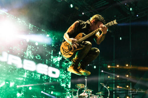a.Disturbed_03